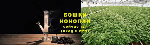 шишки Абдулино