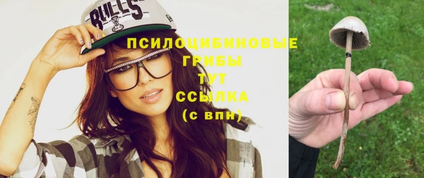 твердый Абаза
