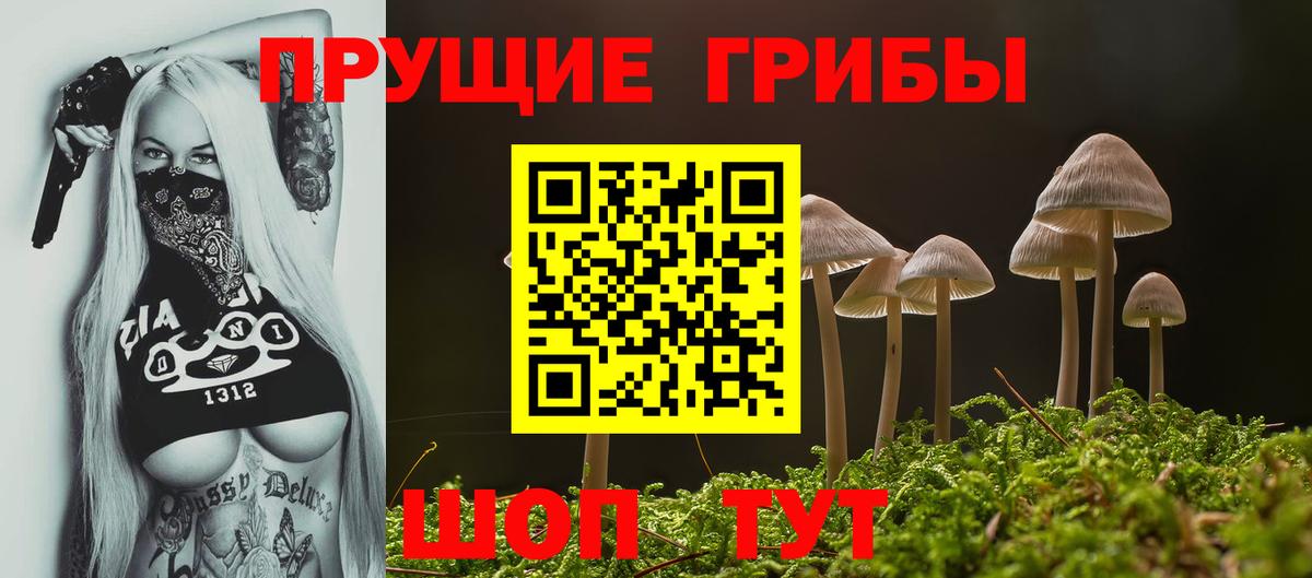 Псилоцибиновые грибы GOLDEN TEACHER Шарыпово